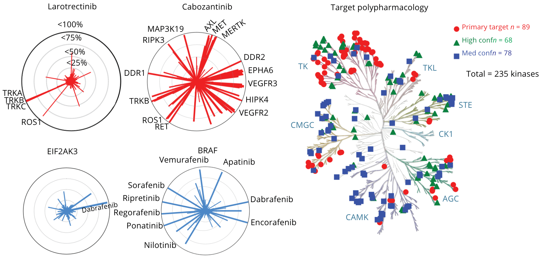Mapping the Full Kinase Landscape: Beyond Druggable Targets