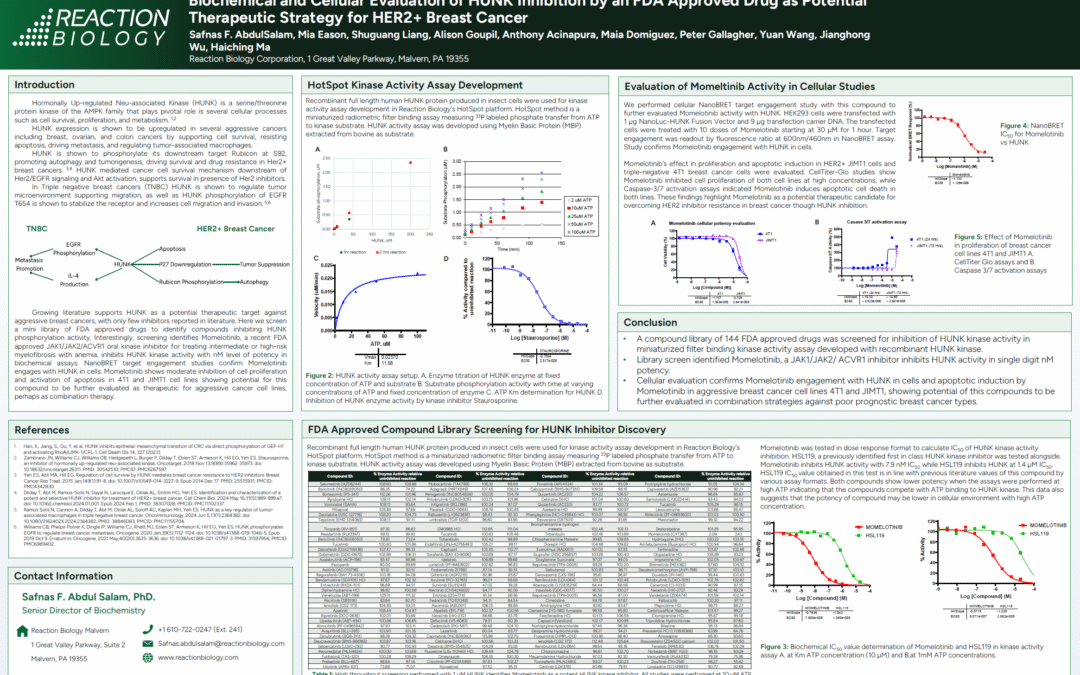 Biochemical and Cellular Evaluation of HUNK Inhibition by an FDA Approved Drug as Potential Therapeutic Strategy for HER2+ Breast Cancer