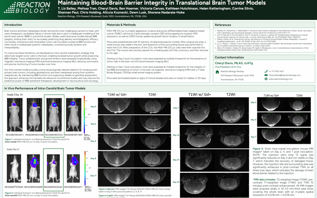 Maintaining Blood-Brain Barrier Integrity in Translational Brain Tumor Models