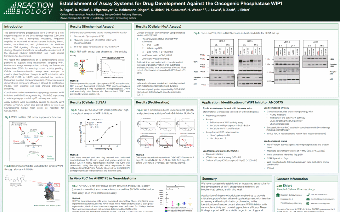 Establishment of Assay Systems for Drug Development Against the Oncogenic Phosphatase WIP1