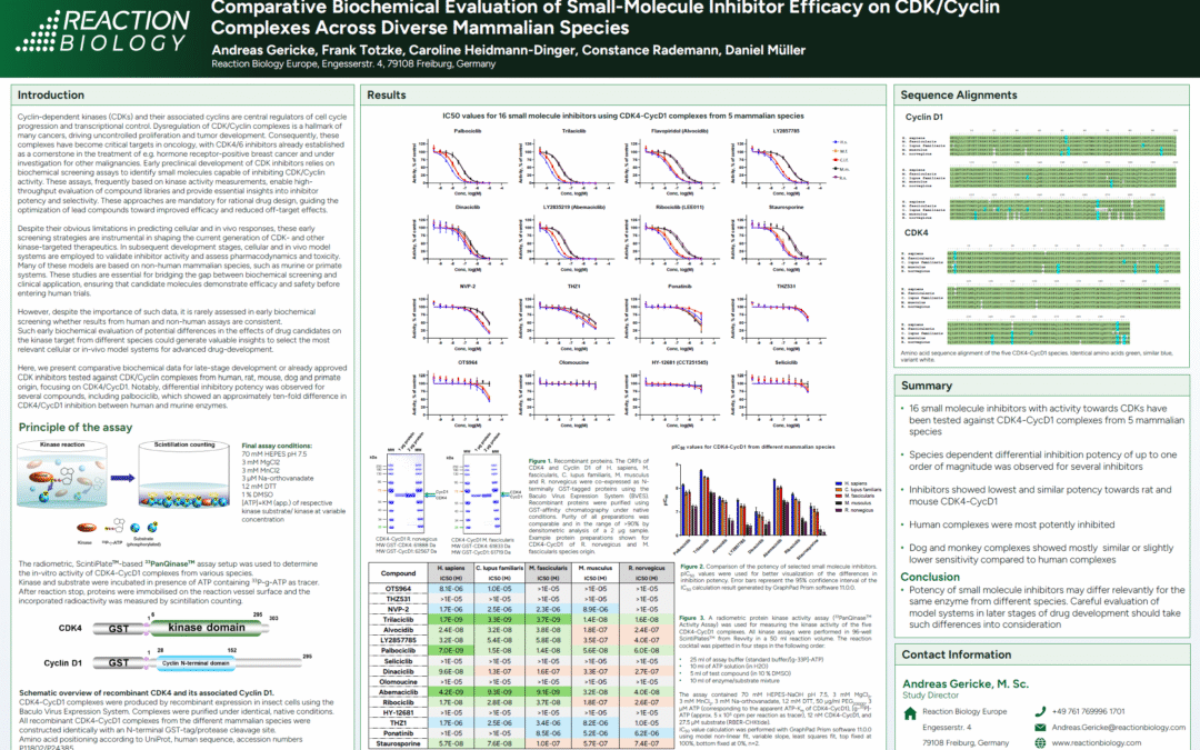 Comparative Biochemical Evaluation of Small-Molecule Inhibitor Efficacy on CDK/Cyclin Complexes Across Diverse Mammalian Species