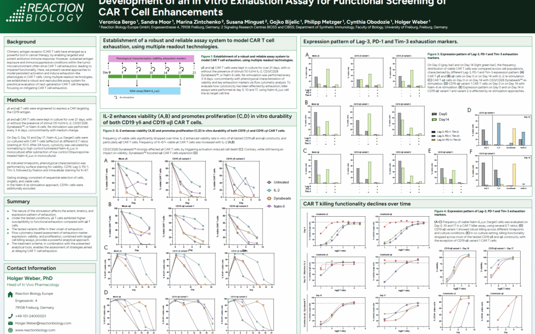 Development of an In Vitro Exhaustion Assay for Functional Screening of CAR T Cell Enhancements