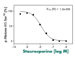 Primary reference compound IC50 for Aurora-B