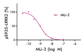 LRRK2 intracellular kinase assay