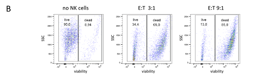 Target Cells