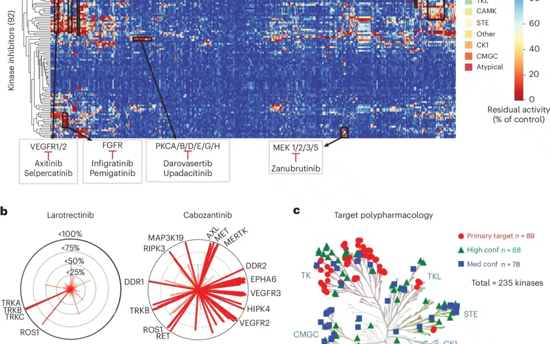 Comprehensive profiling of clinically approved kinase inhibitors reveals mutation-specific inhibitors and opportunities for drug repurposing. Nature Biotechnology, 2026