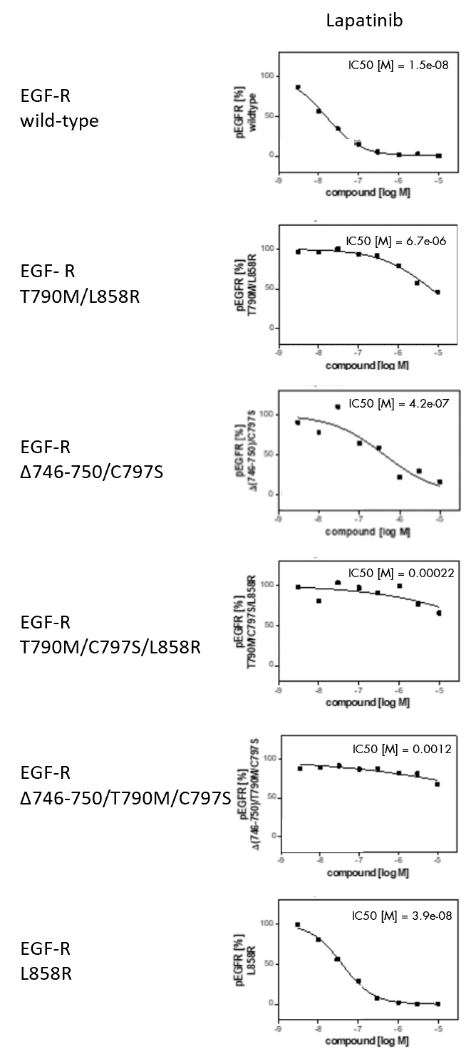 EGF-R Mutants carrying the C797S mutation in comparison to primary reference compound