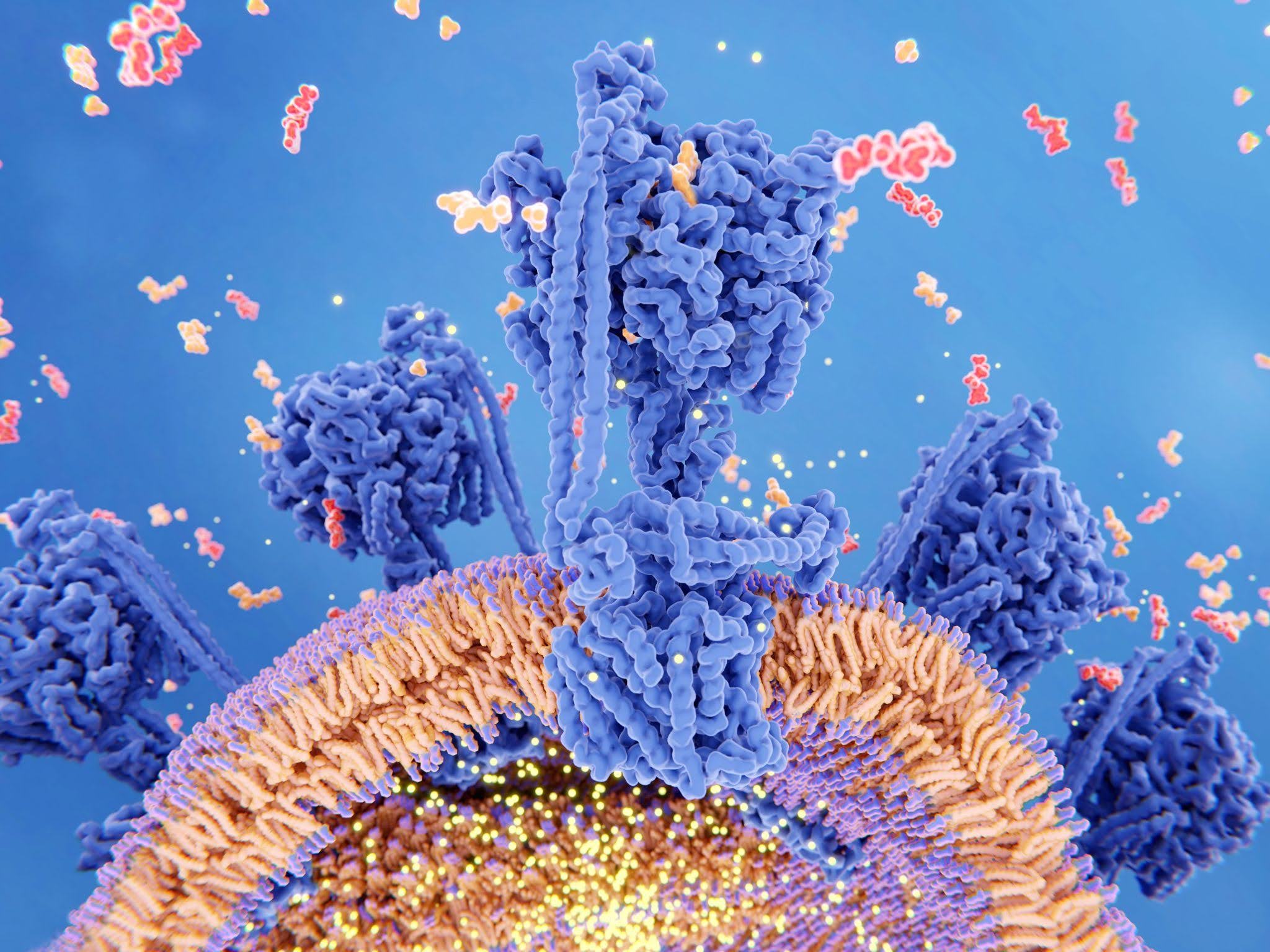 Kinase Panel Screening