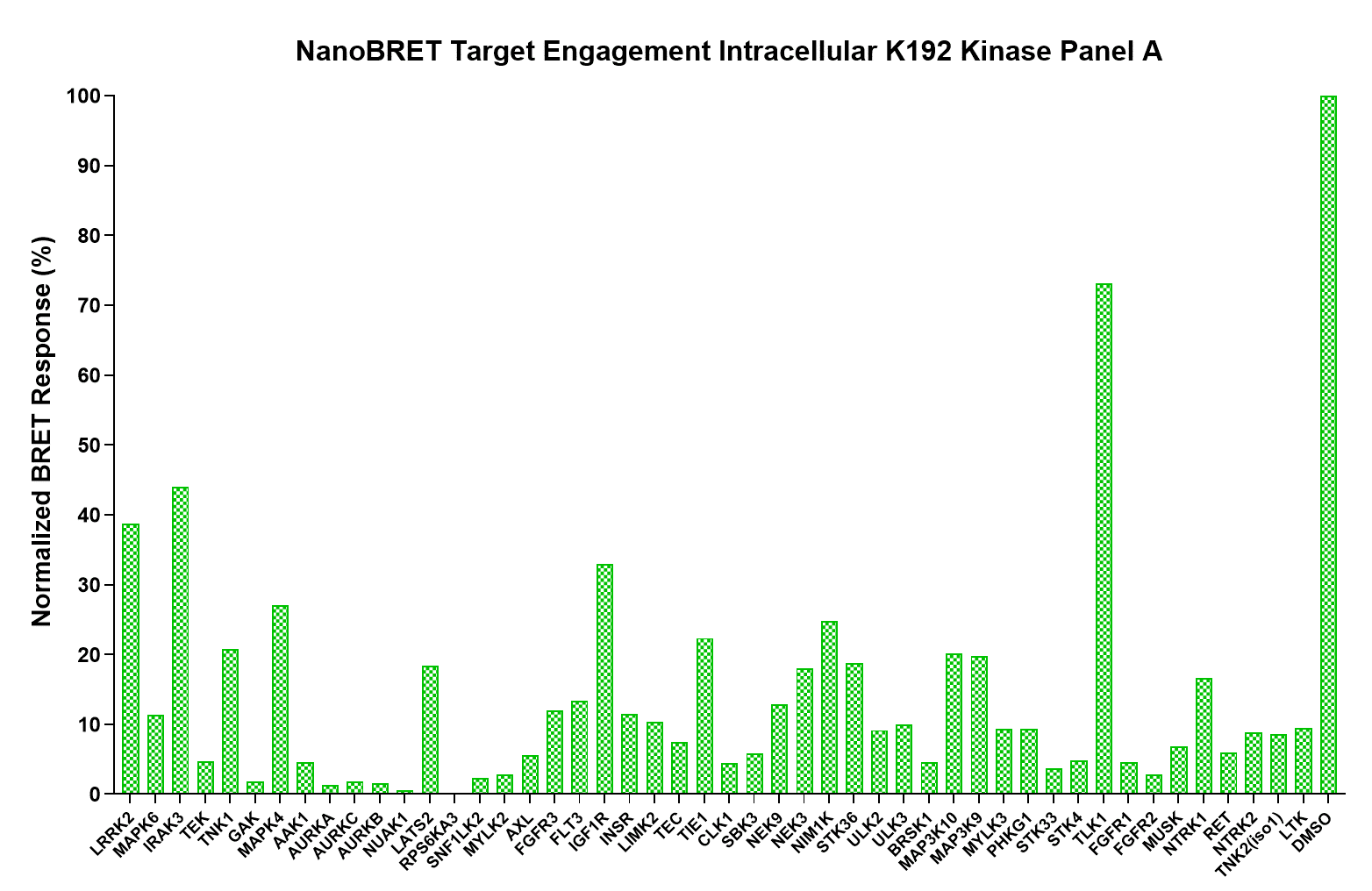 K192 Kinase Panel NanoBRET Response