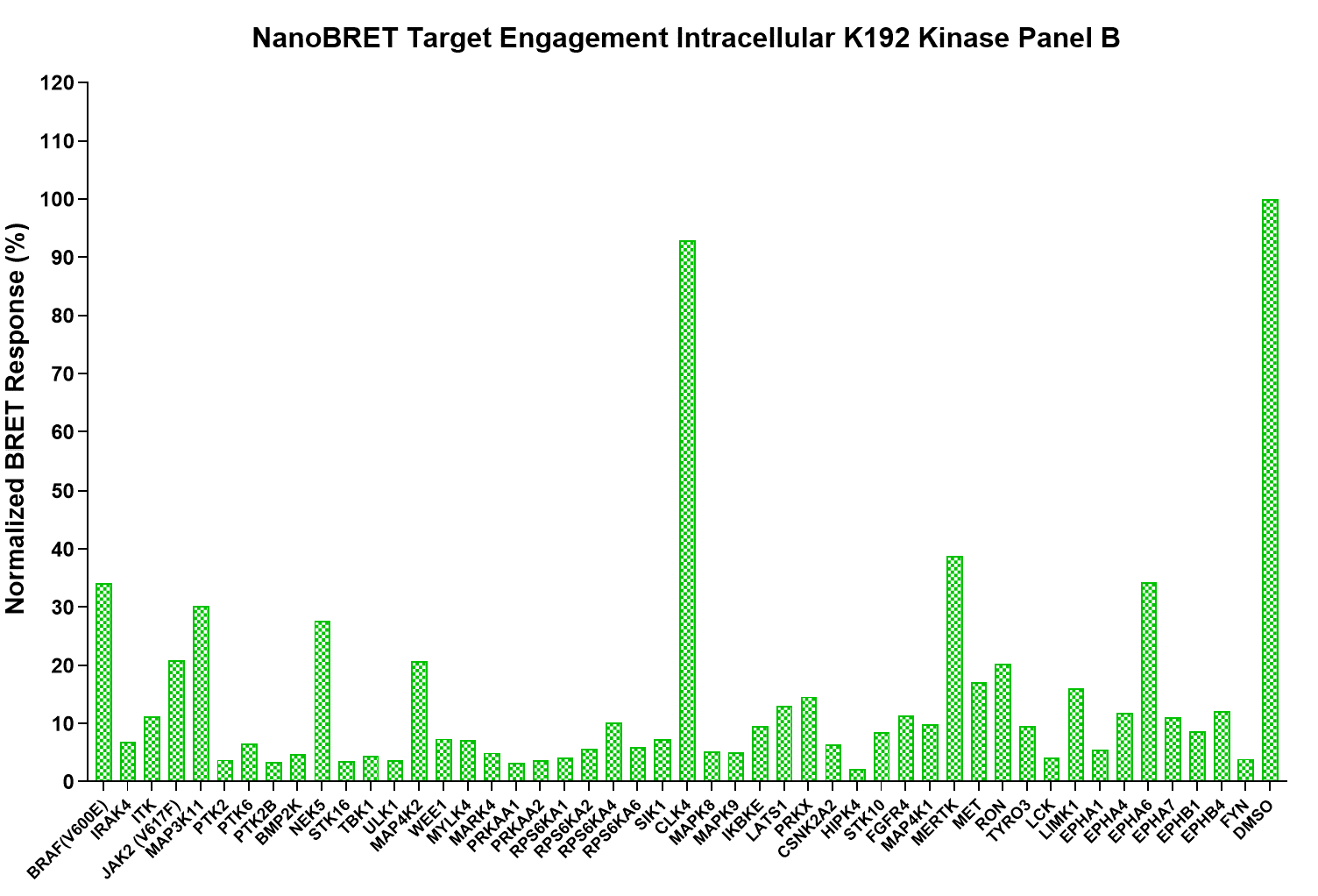 K192 Kinase Panel NanoBRET Response