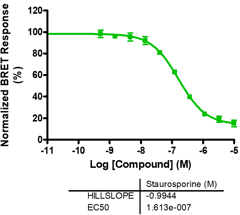 Reference compound IC50 for BTK (T474I)