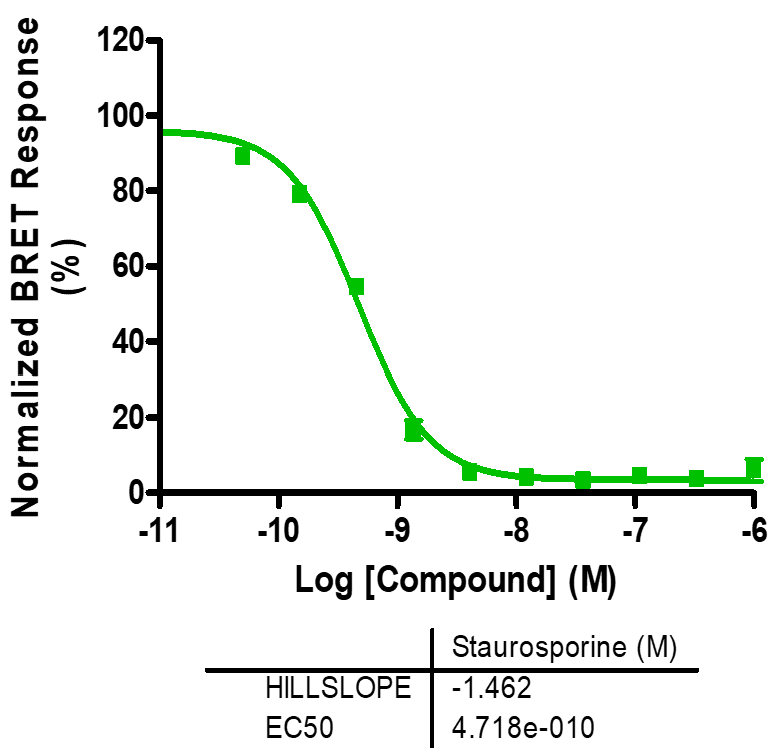 Reference compound IC50 for CAMKK2(165-445)