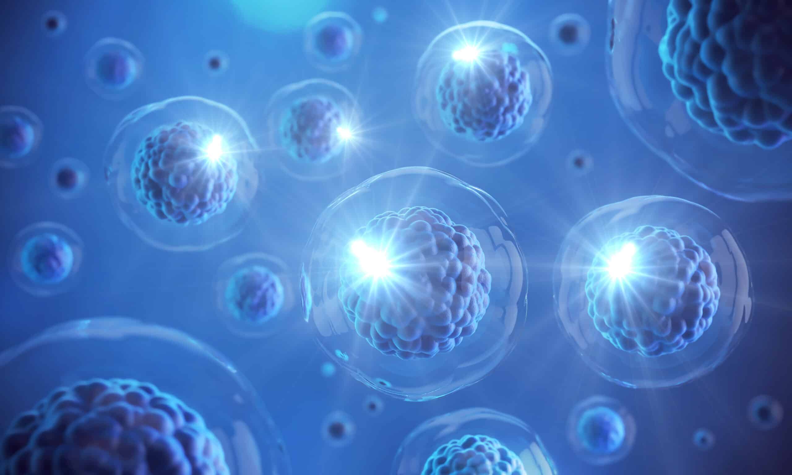 NanoBRET Assay Services