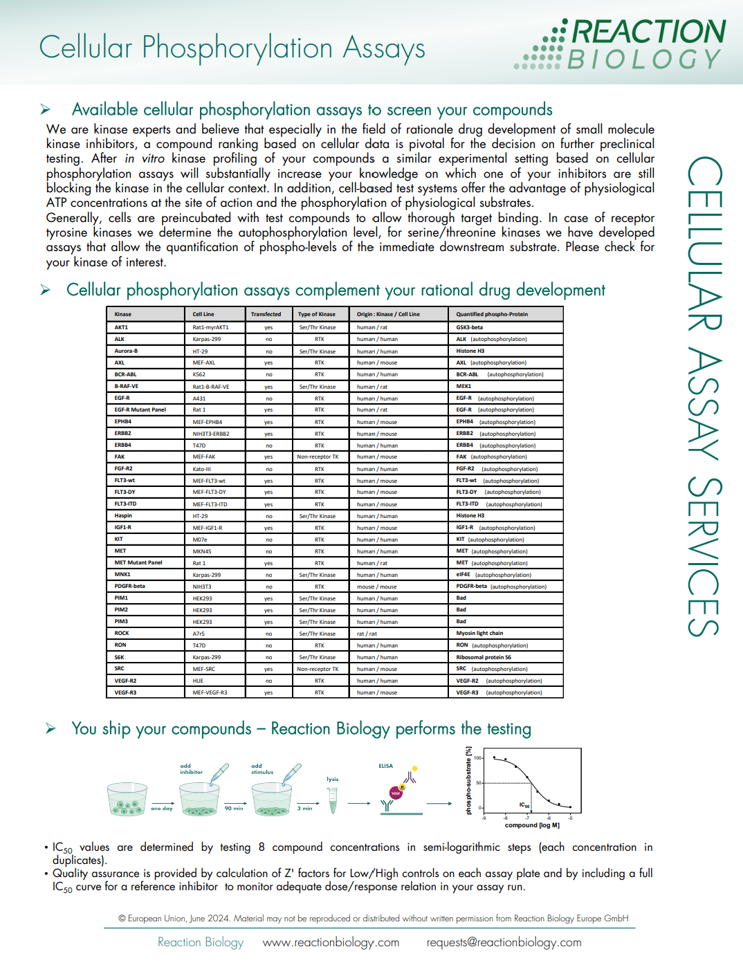 Cellular Phosphorylation Validation